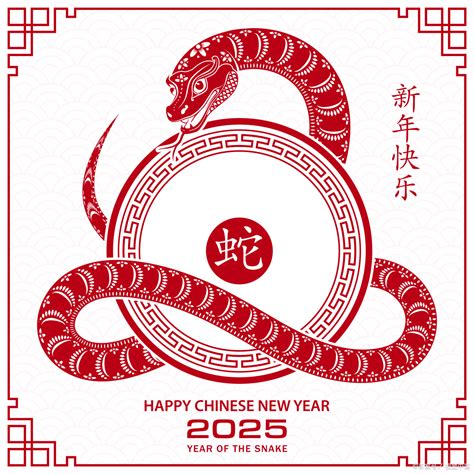 2025年是什么生肖|2025什么生肖？几月出生最好